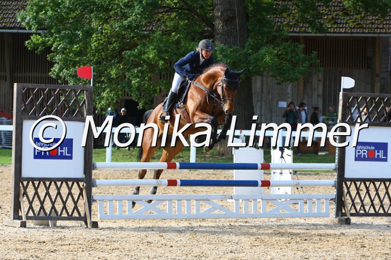 006M6298_Katja_Springpferde A.JPG